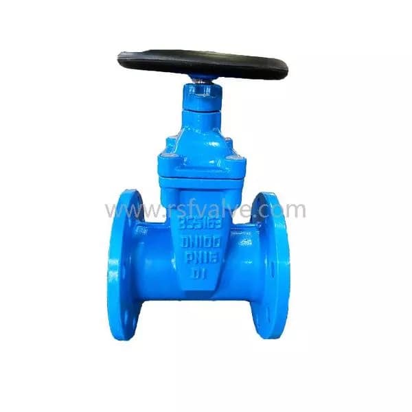 BS563 Resilient Gate Valve