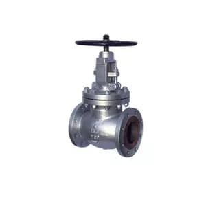 BS1873 Globe Valve